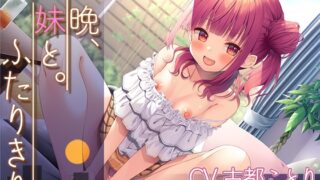 RJ01008857 img main 320x180 - 【お年玉200円ライブフォーリー】一晩、妹と。ふたりきり