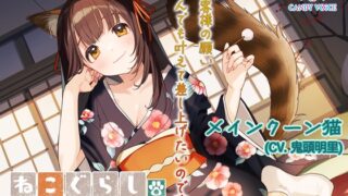 RJ01221431 img main 320x180 - 【ASMR・耳かき・オイルマッサージ】ねこぐらし。第壱回おもてなしロワイヤル ～メインクーン猫編～【CV:鬼頭明里】