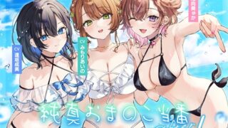 RJ01229294 img main 320x180 - 【4周年記念作品】純真おま○こ当番After&プラス