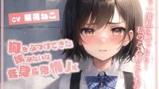 RJ01355066 img main 320x180 - 胸をぶつけてきた妹みたいな低身長発情JK「もう一度私に触ったら…私のこと教えてあげる」【純愛/処女/むっつりエロ】