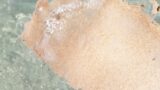 RJ01355389 img main 160x90 - 欲情で巨大化する女