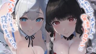 RJ01392175 ana img main 320x180 - 【ALL無声音】フル勃起でメイドの発情トロマンに生ハメしたまま寝れますか?【スローセックス/ずっと生ハメ】