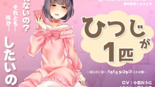 RJ236250 img main 320x180 - 【シコシコASMR】音声で手コキ&リラックスオナニー★夢の世界へようこそ「ひつじが1匹」〜寝る前に聴く、とろとろシコシコ立体音響〜