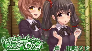 RJ240130 img main 320x180 - ヒーリングサロンシエルーゆっくりコースー