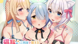 RJ282348 img main 320x180 - 【KU100】猫耳オナホペット三姉妹を買える未来がやって来た!