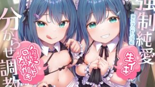 RJ324922 img main 320x180 - 【強○純愛】生イキ双子○リメイドメ○ガキ分からせ調教