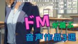 RJ01231042 img main 160x90 - ドMが喜ぶ音声作品3選