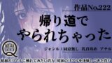 RJ01270108 img main 160x90 - 作品No.222 帰り道でやられちゃった