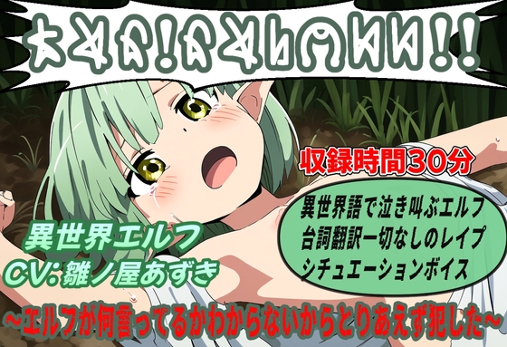 RJ01282452 img main - エルフが何言ってるかわからないからとりあえず犯した