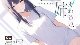 RJ01287361 img main 320x180 - どう考えても姉がわるい【KU100】