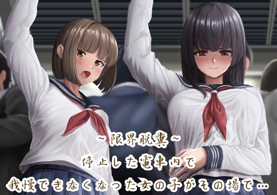 RJ01297622 img main - 【限界脱糞】停止した電車内で我慢できなくなった女の子がその場で…(バイノーラル音声)